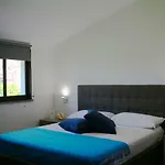 Il Giardino - Agrifoglio *