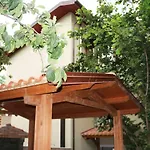 Il Giardino - Agrifoglio *