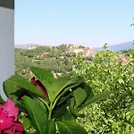 Il Giardino - Agrifoglio אריצו