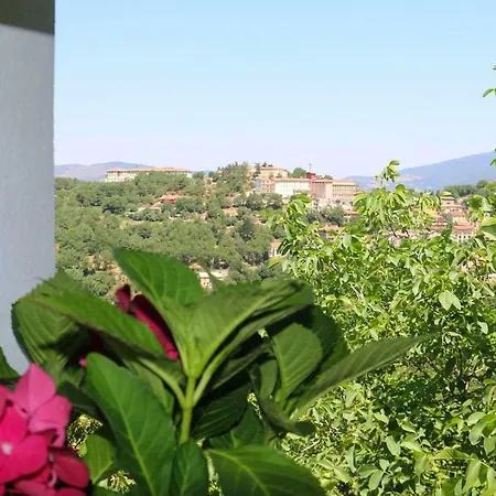 Il Giardino - Agrifoglio Aritzo