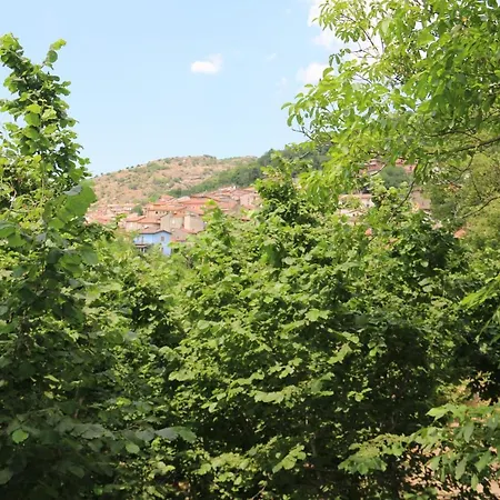 Il Giardino - Agrifoglio *